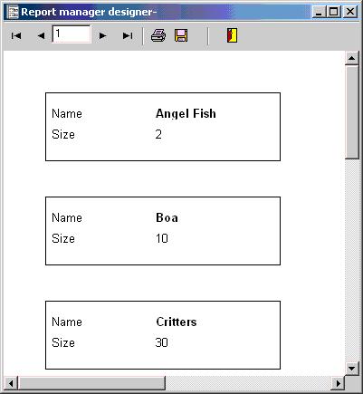 Testing the report (screenshot 1)